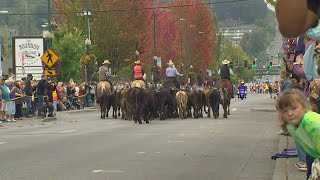 Washington State Fairs stampede parade returns to downtown Puyallup [upl. by Assirehs]