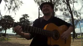 Volare gipsykings cover By Aaron Copenhaguen  shorts short gtr [upl. by Grory]