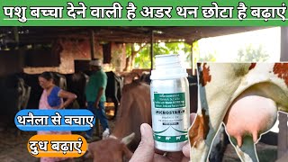 Use Veterinary MICROSTER  H पशुओं को कब देते हैं  गाय भैंस का थन और दूध कैसे बढ़ाएं  हेल्दी रखे [upl. by Malinowski132]