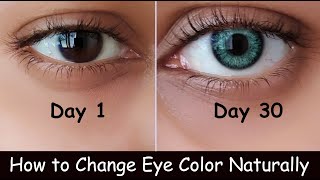 STEP BY STEP EYESHADOW TUTORIAL  FOR ALL EYE SHAPES [upl. by Llehcal]