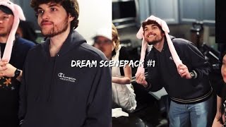 dream scenepack 3242023  quotCOOKING STREAM with awesamdude and hannahxxrose IRL PLATEUPquot [upl. by Aldis222]