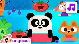 Lingokids ABC FRUITS and VEGGIES 🥭🥬 ABC Song for Kids [upl. by Ahsehat]