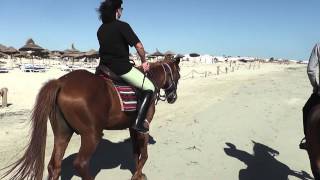 Reiten am Strand [upl. by Ananna]