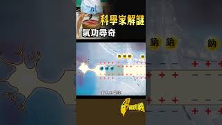 氣功尋奇 科學家解謎｜台灣演義 Taiwan History 台灣演義 氣功 量子科學 [upl. by Clementas]