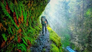 Eagle Creek Trail  Oregon USA  Stunning Footage [upl. by Marquita]