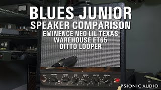 Blues Junior Speaker Comparison  Eminence Neo Lil Texas  Warehouse ET65  Ditto Looper [upl. by Oliy437]