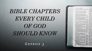 Pastor Tim Gammons Bible Chapters Every Child of God Should Know  Genesis 3 [upl. by Jaymee150]