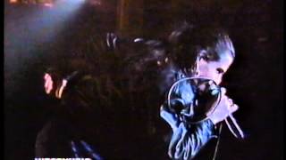 Litfiba  Resta Live Palasport Firenze 87 HQ [upl. by Hagan481]