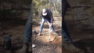 Detecting with Gold Digger Dave  Minelab GPX6000 Detector  Finding nuggets in the Whipstick [upl. by Ailedo]