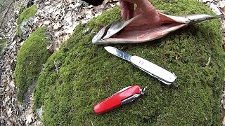 Victorinox Farmer vs Hiker SAK Survival Showdown [upl. by Afatsum]