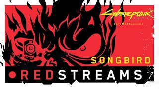 REDstreams special — Interview with Minji Chang amp Borys PugaczMuraszkiewicz [upl. by Stoecker]