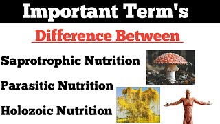 Nutrition Saprotrophic Nutrition  Parasitic Nutrition  Holozoic Nutrition  By Dadhich Sir [upl. by Seamus]