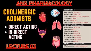 Cholinergic Agonists  Parasympathomimetic Drugs  Direct Acting amp indirect acting  L3 [upl. by Iharas]