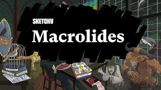 Comprehensive Guide to Macrolides and Their Uses Part 1  Sketchy Medical  USMLE Step 1 [upl. by Hammel]