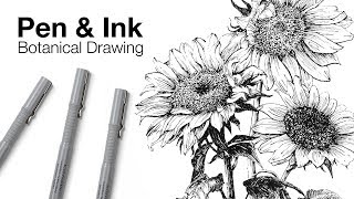 Pen and Ink Botanical Drawing [upl. by Aridnere]