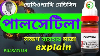 PULSATILLA 30 200 HOMEOPATHIC MEDICINE USES AND SYMPTOMS EXPLAIN IN BENGALI পালসেটিলা লক্ষণ ব্য [upl. by Faires]