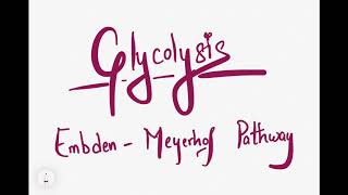 Glycolysis Embden Meyerhof Pathway  Aerobic  Anaerobic  ATP [upl. by Yraeht145]