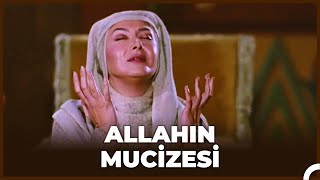 Züleyhanın Güzelleşme Mucizesi  Hz Yusuf 39 Bölüm [upl. by Fridell]