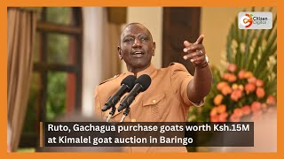 Ruto Gachagua purchase goats worth Ksh15M at Kimalel goat auction in Baringo [upl. by Ueik]