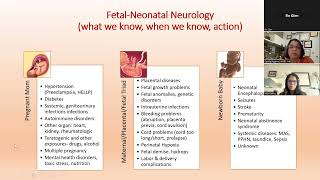 Fetal NeurologyOverview and Current Practice [upl. by Xella]