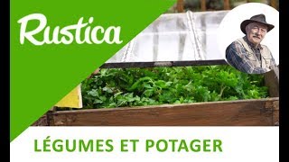 Protéger le persil et le cèleri dans un carré potager en hiver [upl. by Beane]