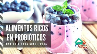 Alimentos que contienen probióticos [upl. by Humphrey949]