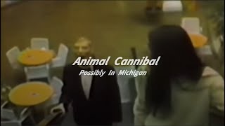 Animal Cannibal  Possibly In Michigan Slowed  Reverb [upl. by Tito]