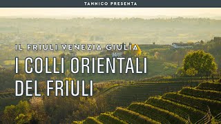 Il vino dei Colli Orientali del Friuli  Tannico Flying School [upl. by Idner]