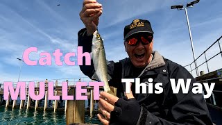 Pier fishing is so easy with this rig  catch more fish [upl. by Auqenehs]