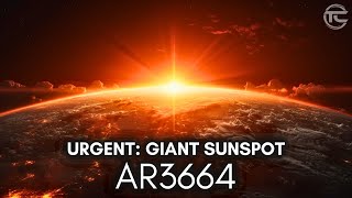 Urgent Giant Sunspot AR3664 Might Unleash Catastrophic Solar Storms [upl. by Matilde663]