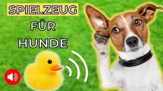 Spielzeug für Hunde 🐶 beschäftigung für hunde [upl. by Elleinet]