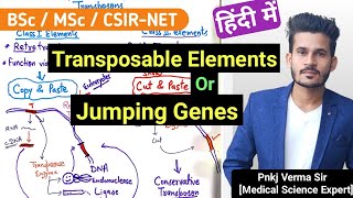 Transposable Elements  Jumping Genes  Part 1  Pnkj Verma Sir [upl. by Einnal121]