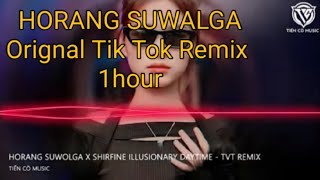 Horang suwolga x shirfine Illusionary DayTime  TVT RemixNhac Hot TikTok2023Original Remix 1hour [upl. by Akkire968]