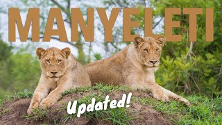 Manyeleti Game Reserve  UPDATED The Lowvelds bestkept secret [upl. by Lecram]