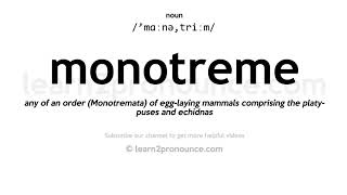 Pronunciation of Monotreme  Definition of Monotreme [upl. by Aihsilef697]