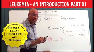 Leukemia  Causes and Symptoms  Part 13 [upl. by Deehsar]