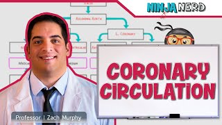 Circulatory System  Coronary Circulation [upl. by Carthy]