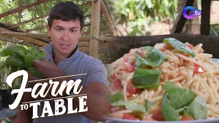 Matteo Guidicelli shares his Aglio Olio recipe  Farm To Table [upl. by Judd524]