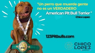 Pitbulls muerden Esos perros no son un Verdadero Pitbull  Chico Lopez [upl. by Lane]