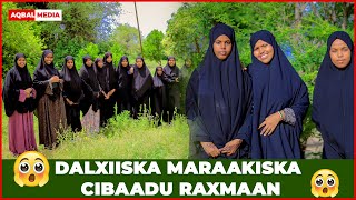 DALXIISKII UGU CAJIIBSANAA EE ARDAYDA MARAAKISKA CIBAADU RAXMAAN [upl. by Shuman]