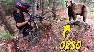 INCONTRO RAVVICINATO CON UN ORSO IN BICI ☠️ redbull joyride [upl. by Enelehs]