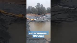 Rainwater Catchment During Atmospheric River Northern Arizona [upl. by Gavrah]