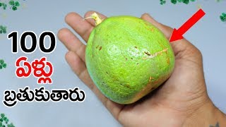 Beal fruit benefits i telugu  Bael Fruit Benefits [upl. by Anawad]