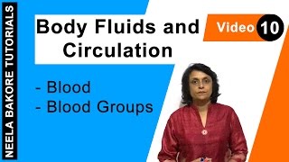 Body Fluids and Circulation  NEET  Blood  Blood Groups  Neela Bakore Tutorials [upl. by Etnauq]