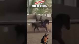 👁️🐴 Öffne die Augen Das Leiden der Pferde in der Dressur 🐴👁️ [upl. by Sira]