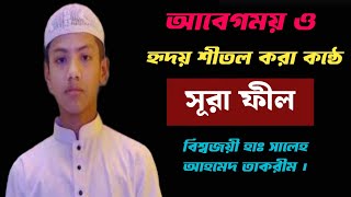 হৃদয় শীতল করা কোরআন তেলাওয়াত। সূরা ফীল। বিশ্বজয়ী হাঃ সালেহ আহমেদ তাকরীম। Hafiz Taqrim [upl. by Worlock309]