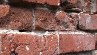 Lime Mortar Repointing The Basic Techniques for Restoring Historic Brick Homes [upl. by Paryavi994]