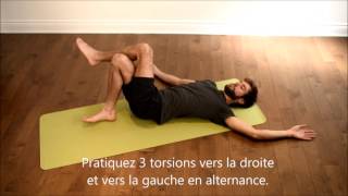 Douleur Bas de Dos et Arthrose  3 Exercices Efficaces capsule1 [upl. by Uzia]