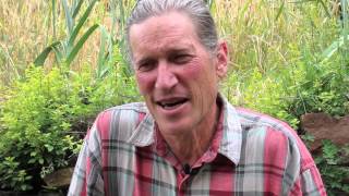 David Holmgren on Permaculture and Reading Landscape [upl. by Ienttirb784]