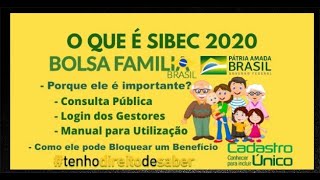 SIBEC 2020 COMO ELE FUNCIONA NO BLOQUEIO DO BOLSA FAMÍLIA  COMO CONSULTAR AS SITUAÇÕES PARA RECEBER [upl. by Adiana864]